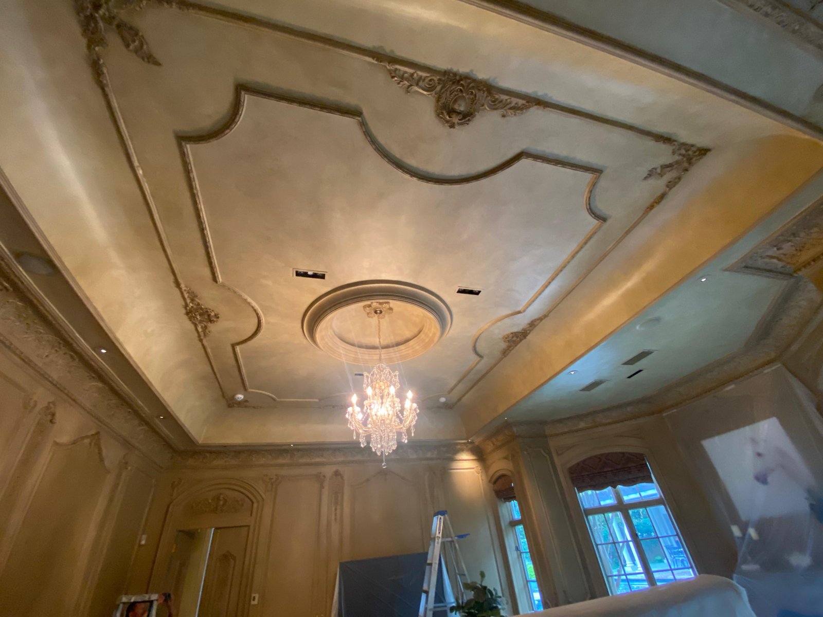 Ornate plaster ceiling with chandelier